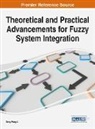 Deng-Feng Li - Theoretical and Practical Advancements for Fuzzy System Integration