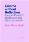 Akira Mizuta Lippit - Cinema Without Reflection