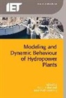 Jesus Fraile-Ardunuy, Jesus (Associate Professor Fraile-Ardunuy, Nand Kishor, Nand (Associate Professor Kishor - Modeling and Dynamic Behaviour of Hydropower Plants