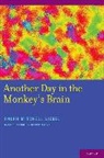 Siegel, Ralph Siegel, Ralph (Professor Siegel, Siegel Ralph - Another Day in the Monkey''s Brain