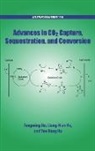 Fangming (Distinguished Professor of Environm Jin, Liang-Nian He, Liang-Nian (Professor of Chemistry He, He Liang-Nian, Yun Hang Hu, Yun Hang (Charles and Carroll McArthur Chair Professor of Materials Science and Engineering Hu... - Advances in Co2 Capture, Sequestration, and Conversion