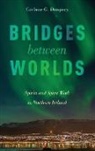 Corinne G Dempsey, Corinne G. Dempsey, Corinne G. (Associate Professor of Religi Dempsey, Corinne G. (Associate Professor of Religious Studies and Rose Marie Beston Chair for International Studies Dempsey, Dempsey Corinne G. - Bridges Between Worlds