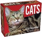 Andrews Mcmeel Publishing, Andrews McMeel Publishing (COR) - Cats 2018 Calendar