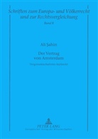 Ali Sahin, Manfred Zuleeg - Der Vertrag von Amsterdam
