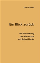Ernst Schmidt - Ein Blick zurück