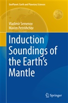 Maxim Petrishchev, Vladimi Semenov, Vladimir Semenov - Induction Soundings of the Earth's Mantle