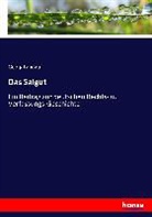 Georg Landau - Das Salgut