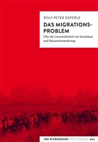 Rolf P. Sieferle, Rolf Peter Sieferle, Fran Böckelmann - Das Migrationsproblem