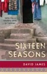 David James - Sixteen Seasons