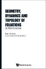 Bruno Scardua &amp; Carlos Arnoldo Morales R, Carlos Arnoldo Morales Rojas, Bruno Scaardua, Bruno Scardua - GEOMETRY, DYNAMICS AND TOPOLOGY OF FOLIATIONS