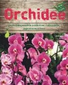 David Squire - Orchidee