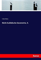 Felix Klein - Nicht-Euklidische Geometrie, II.