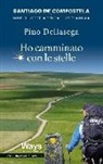 Pino Dellasega - Ho camminato con le stelle. Santiago de Compostela. Mille chilometri a piedi da Lourdes a Muxia