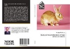 Khaled El-Kholy - Study on the amelioration of heat stress on rabbits