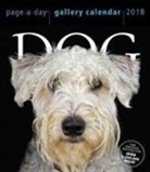 Gallery, Workman Publishing - Dog Gallery 2018