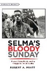 Robert A. Pratt, Robert A. (Professor of History Pratt, Pratt Robert A. - Selmas Bloody Sunday