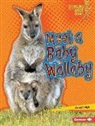 Anna Leigh - MEET A BABY WALLABY