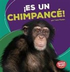 Tessa Kenan - ¡es Un Chimpancé! (It's a Chimpanzee!)