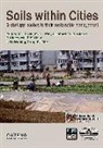 Wolfgang Burghardt, Przemyslaw Charzynski, Kye-Hoo John Kim, Kye-Hoon John Kim, Kye-Hoon J. Kim, Kye-Hoon John Kim... - Soils within Cities