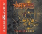 Franklin W. Dixon - Con Artist in Paris (Audiolibro)