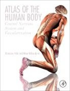 Milan Milisavljevic, Milan (Laboratory for Vascular Anatomy (Head) Milisavljevic, Milisavljevic Milan, Branislav Vidic, Branislav (Professor Vidic, Branislav/ Milisavljevic Vidic... - Atlas of the Human Body