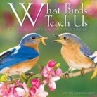 Bonnie Louise Kuchler, Willow Creek Press - WHAT BIRDS TEACH US