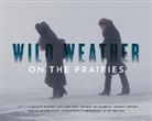 Calgary Herald, Monica Zurowski - Wild Weather on the Prairies