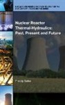 P. Saha, Pradip Saha - Nuclear Reactor Thermal-Hydraulics