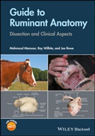 M Mansour, Mahmou Mansour, Mahmoud Mansour, Mahmoud Wilhite Mansour, Joe Rowe, D. Ray Wilhite... - Guide to Ruminant Anatomy - Dissection and Clinical Aspects