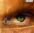 Johann Wolfgang von Goethe, Michael Maertens - Die Leiden des jungen Werther, 2 Audio-CDs (Audio book)