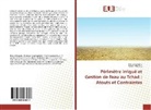 Daou Borgoto, Daoud Borgoto, Joseph Ekorong - Périmètre irrigué et Gestion de l'eau au Tchad : Atouts et Contraintes
