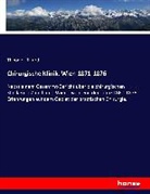 Theodor Billroth - Chirurgische Klinik, Wien 1871-1876