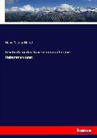 Hans Caspar Hirzel - Lesebuch für das Frauenzimmer über die Hebammenkunst