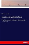 Wilhelm Schäfer - Faustine, der weibliche Faust