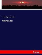 Anto Berlinger, Anton Berlinger, Fridrich Pfaff - Alemannia