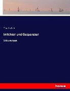 Max Kretzer - Irrlichter und Gespenster