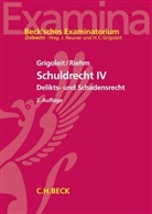 Hans Chr. Grigoleit, Hans Christop Grigoleit, Hans Christoph Grigoleit, Hans Christoph (Prof. Dr. Grigoleit, Hans Christoph (Prof. Dr.) Grigoleit, Thoma Riehm... - Schuldrecht. Bd.4