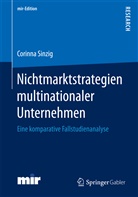 Corinna Sinzig - Nichtmarktstrategien multinationaler Unternehmen