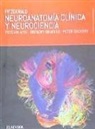 Fitzgerald. Neuroanatomía clínica y neurociencia + StudentConsult (7ª ed.)