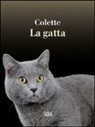 Colette - La gatta