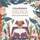 Caitlin Keegan, Marc Kirschenbaum - Fauna. Colorigami