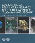 A. Costantini, G. Pagani - Minerali: bellezze della natura nel Parco delle colline metallifere. Tuscan mining geopark