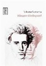 Roberto Garaventa - Rileggere Kierkegaard