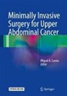 Miguel A. Cuesta - Minimally invasive surgery for upper abdominal cancer