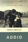Angelo Ferracuti - Addio. Il romanzo della fine del lavoro
