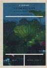 Murong Xi, R. Lombardi - Il fiume del tempo. Antologia poetica 1959-2009. Testo cinese a fronte