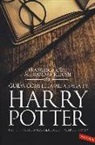Francesca Cosi, Alessandra Repossi - Guida completa alla saga di Harry Potter. I libri, i film, i personaggi, i luoghi, l'autrice, il mito