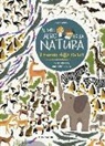 Olivia Cosneau - Il mondo della savana. Il mio albo della natura. Con adesivi
