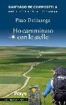 Pino Dellasega - Ho camminato con le stelle. Santiago de Compostela. Mille chilometri a piedi da Lourdes a Muxia