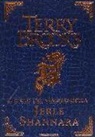 Terry Brooks - Il ciclo del viaggio della Jerle Shannara: La strega di Ilse-Il labirinto-L'ultima magia